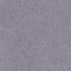 8204_12_additional image_new.jpg image